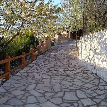 Antica Trattoria Bacco Bed & Breakfast